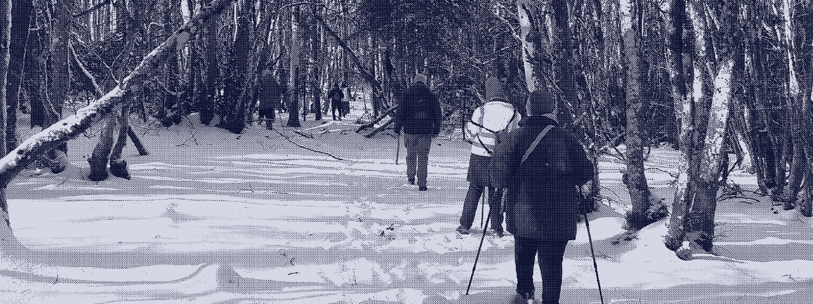 LA FORÊT RACONTE…